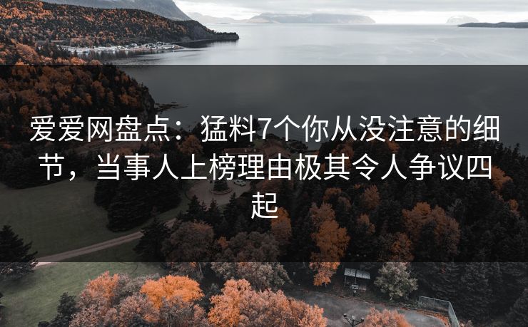 爱爱网盘点:猛料7个你从没注意的细节,当事人上榜理由极其令人争议四起